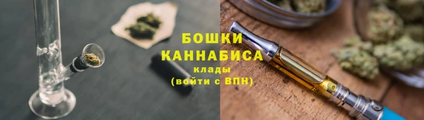 соль ск Няндома