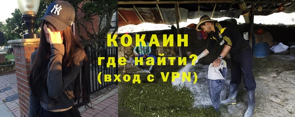 соль ск Няндома
