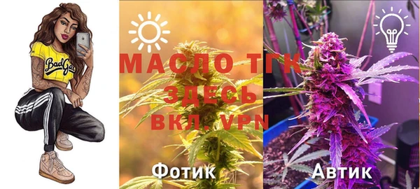 соль ск Няндома