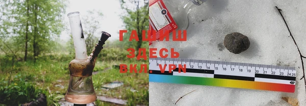 соль ск Няндома